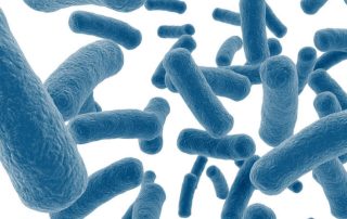 Inulin Type Prebiotics–A ReviewPart