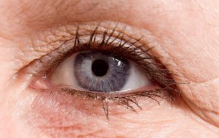 Intracellular Uptake Mechanism of Lutein in Retinal Pigment Epithelial Cells