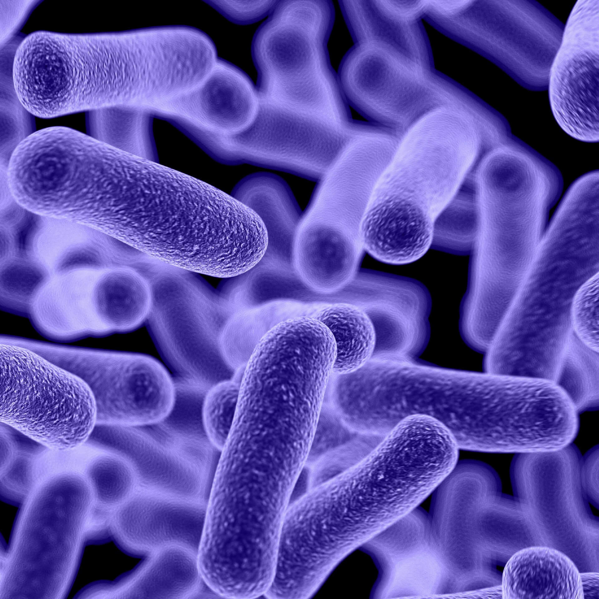 Η LAMBERTS επίσημος χορηγός της ΠΑΕ ΑΕΚ για 2η χρονιά